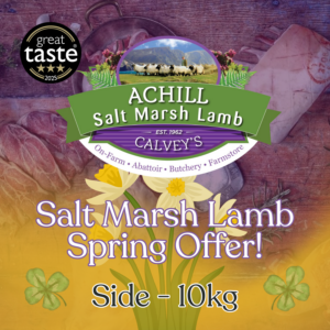 Side of Salt Marsh Offer 2026