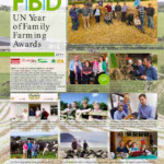 Farming Awards and Calveys achill mountain Lamb