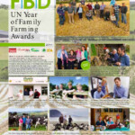 Farming Awards and Calveys achill mountain Lamb