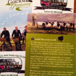 Calveys Blackface Mountain Lamb Brochure